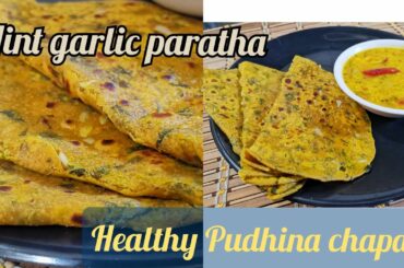 Mint garlic paratha, Healthy Pudhina chapati, variety chapati recipe from Akshayam's Kitchen.