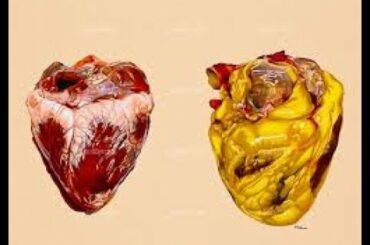 BEST EASY AVAILABLE FOOD FOR HEALTHY HEART || BEST FOR YOU || STAY HEALTHY