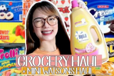 GROCERY HAUL + MINI WATSONS HAUL (OFFICE SNACKS IDEAS) | Erika Lim (Philippines)