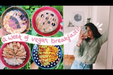 a week of vegan breakfasts 🍋 (healthy and filling!)