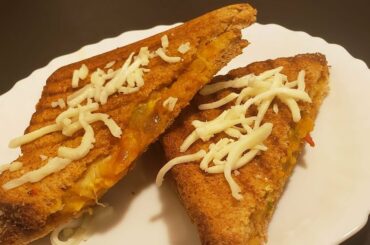 Simple Bread Sandwich/veg sandwich/Quarantine specials