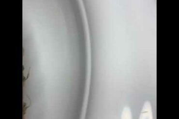 20+ YUMMY breakfast , lunch, and dinner ideas