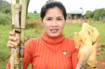 Awesome Cooking Chicken With Suger Cane Recipe Delicious- Cook healthy Recipes- Village Food Factory