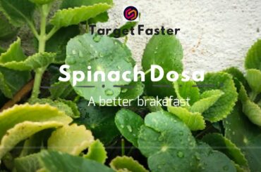 Spinach Dosa | A Very Tasty And Healthy Food | Target Faster.