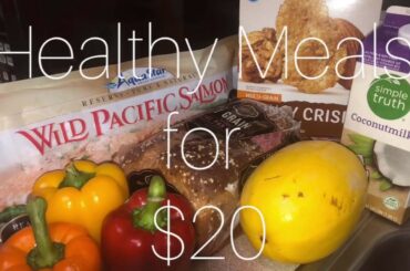 Meal Prepping Gone Right!! Healthy Meals for A Week for Only $20!