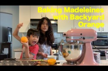 Backyard Oranges for Madeleines | Sunday Tea Time | Urban Gardening and Baking