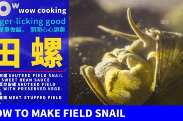 ✅How to cook👉Easy recipes【田螺Field snail】Chinese food|Home cooking(WoW Cooking)