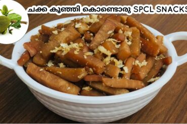 ചക്ക കൂഞ്ഞി കൊണ്ടൊരു    SPECIAL SNACKS|HEALTHY SNACKS|TENDER JACKFRUIT SNACKS#Sahluuz world