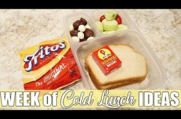 Cold Lunch Ideas Made at Home | Lunches for My Essential Worker