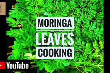 Moringa Leaves cooking/ Drum stick Leaves/ healthy food