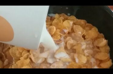 Super rich healthy breakfast | Instant breakfast | How to make corn flakes breakfast more heathy