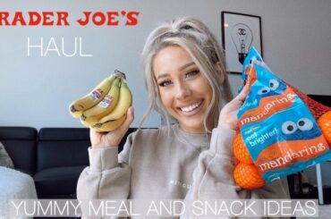 TRADER JOES HAUL + LITTLE LIFE CHAT