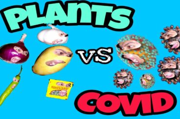 #STAYHOME / PLANTS vs COVID Part1/ MUST-TRY! MANGO and TUNA Salad/ IMMUNE SYSTEM BOOSTER RECIPE 😊