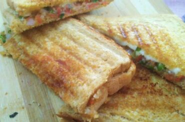 Tasty and healthy cheese grilled sandwich