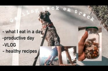 Getting back on track [ISO VLOG]| What I eat, Healthy Recipes, Workouts| Angelle Melissa
