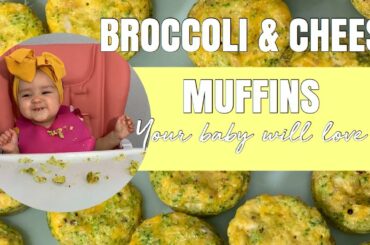 BROCCOLI & CHEESE MUFFINS FOR ALL AGES! - BABY LED WEANING - HEALTHY MEALS