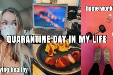 VLOG: a productive day, healthy meals, home ab workout, boxycharm unboxing