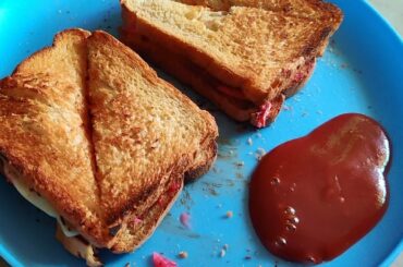 Delicious & Healthy Chicken Sandwich at Home During Quarantine