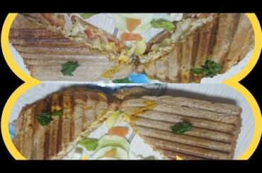 Healthy Diet Sandwich/ Good for weight loss/ A bundle of health benefits