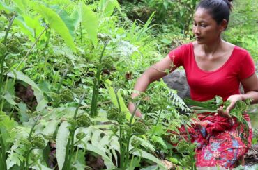 Healthy food Yummy: Find Natural Elephant nose Plant to Cook for Dinner - Food my village Ep 24