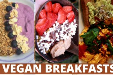 Vegan Breakfast Ideas (healthy + easy)!