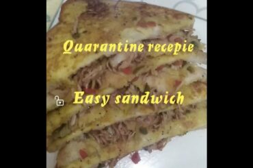 easy sandwich recepie quarantine best idea for cooking