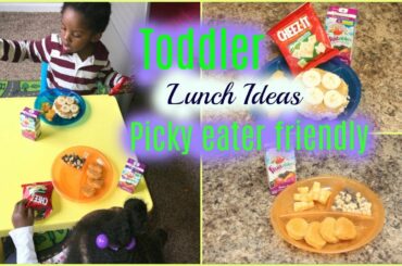 Toddler Lunch Ideas| What to feed a picky eater?| Healthy preschool meal ideas