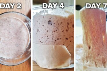 How To Make A Sourdough Starter From Scratch •  Tasty