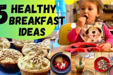 HEALTHY BREAKFAST IDEAS FOR TODDLER I GLUTEN FREE & DAIRY FREE