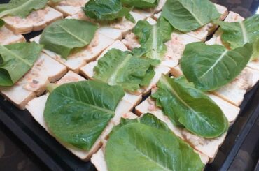 Sandwich for a Cause | covid19 Frontliners