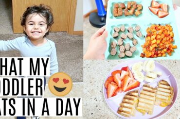 WHAT MY TODDLER EATS IN A DAY | BABY MEAL IDEAS FOR ONE YEAR OLD