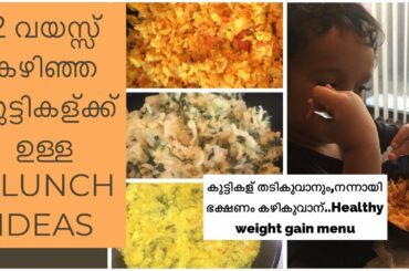 3 Simple Healthy Lunch ideas for 2 yrs &above/2 വയസ്സ് കഴിഞ്ഞ കുട്ടികള്ക്ക് 3 LUNCH IDEAS