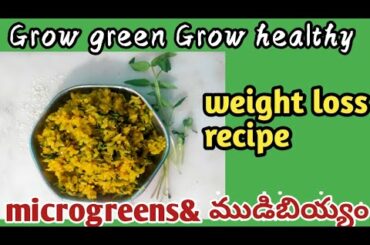 బరువు తగ్గాలి అనుకుంటే ఈ recipe try cheyyandi/Microgreens&brown rice recipe/weight loss recipe