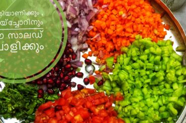 ബിരിയാണിക്കും നെയ്‌ച്ചോറിനും ഈ സാലഡ് പൊളിക്കും , #healthy salad
