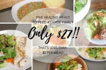HEALTHY DINNERS for a Week for ONLY $27 to Feed Your WHOLE FAMILY