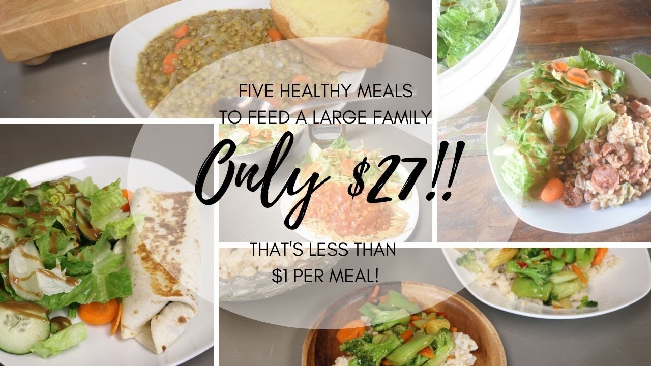 HEALTHY DINNERS for a Week for ONLY $27 to Feed Your WHOLE FAMILY HEALTHY DINNERS for a Week for ONLY $27 to Feed Your WHOLE FAMILY