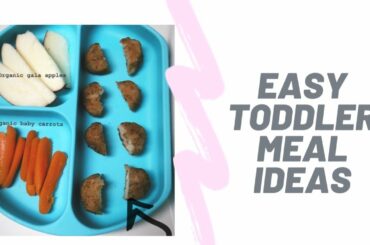 EASY TODDLER MEAL IDEAS