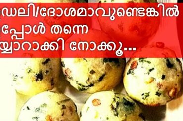 ഇഡലി/ദോശമാവുണ്ടെങ്കിൽ ഇപ്പോൾ തന്നെ തയ്യാറാക്കി നോക്കൂ /  നാലുമണി പലഹാരം / Healthy Snack Recipes