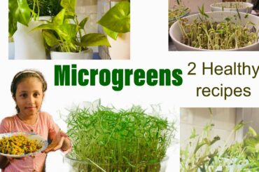 2 Microgreen Recipes | Cherupayar ila Thoran | kids episode | Healthy Recipes