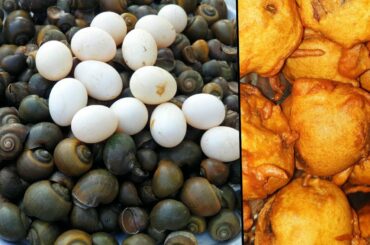 நத்தை கறியில் வாத்து முட்டை போண்டா| Duck eggs bonda in Snail | Snail bonda first time in youtube