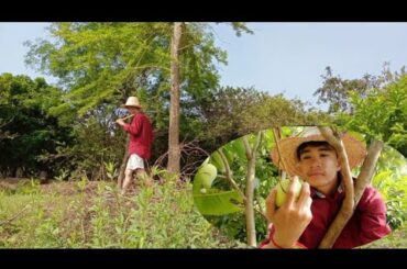 amazing cooking Chicken wings salad recipe spicy_Kh Healthy