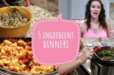 DINNER IDEAS USING 5 INGREDIENTS | FAMILY MEALS USING 5 INGREDIENTS | COOK WITH ME | MOM OF 4