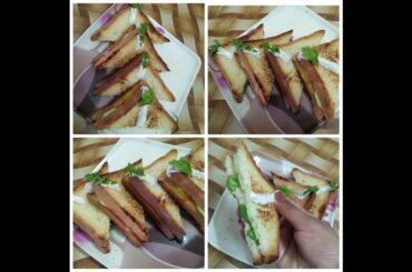 Schezbaan vage mayonise healthy Sandwich