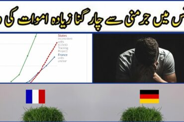 France ko  Germany Say Sikhna Hoga / Healthy Breakfast Recipe/ Ramadan Preparation/Shami Kabab