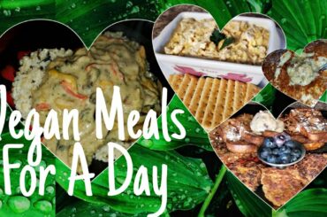 Oatmeal Sausage Recipe ♡ Vegan Tuna ♡ Healthy Breakfast Lunch Dinner 🌱