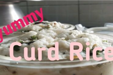 Yummy Healthy Lunch Box or Prasadam Curd Rice Recipe in Telugu