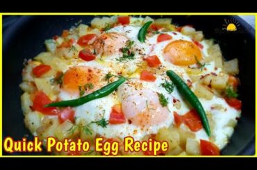 Easy Egg Potato Recipes | Potato Egg Breakfast | Lunch | Dinner Recipes
