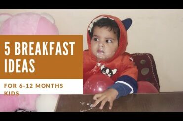 5 breakfast recipes for kids |6 -12 monts babies breakfast ideas ft. @earlyfoods