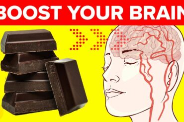 9 Best Foods To Boost Your Brain Function And Memory