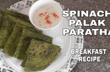 PALAK/SPINACH PARATHA RECIPE/TASTY AND HEALTHY LUNCH BOX AND BREAKFAST RECIPE  | #32